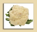 Fresh cauliflower cabbage vegetable on white background Royalty Free Stock Photo