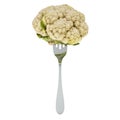 Fresh cauliflower on fork, 3D rendering Royalty Free Stock Photo