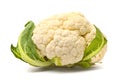 Fresh cauliflower head Royalty Free Stock Photo