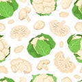 Fresh Cauliflower Seamless Pattern Design with Brassica Vegetable Head Vector Template