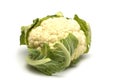 Fresh cauliflower on white Royalty Free Stock Photo
