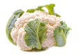 Fresh cauliflower on a white background close-up. isolated Royalty Free Stock Photo