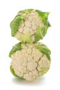 Fresh Cauliflowers