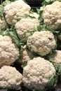 Fresh cauliflowers