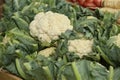 Fresh cauliflowers