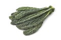 Fresh Cavolo Nero leaves Royalty Free Stock Photo