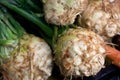 Fresh celeriac Royalty Free Stock Photo