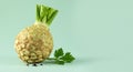 a fresh celeriac with green leaves on a pale mint green background - generated using ai Royalty Free Stock Photo