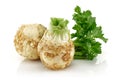 Fresh celeriac root with celery stalks isolated Royalty Free Stock Photo