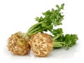 Fresh celeriac root with celery stalks isolated Royalty Free Stock Photo