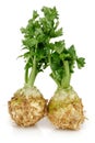 Fresh celeriac root with celery stalks isolated Royalty Free Stock Photo