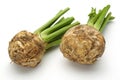 Fresh celeriac root with celery stalks isolated Royalty Free Stock Photo