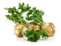 Fresh celeriac root with celery stalks isolated Royalty Free Stock Photo