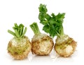 Fresh celeriac root with celery stalks isolated Royalty Free Stock Photo