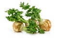 Fresh celeriac root with celery stalks isolated Royalty Free Stock Photo