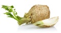 Fresh celeriac root with celery stalks and slice isolated Royalty Free Stock Photo