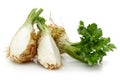 Fresh celeriac root with slice isolated