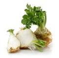 Fresh celeriac root with slice isolated Royalty Free Stock Photo