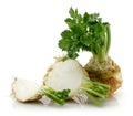 Fresh celeriac root with slice isolated Royalty Free Stock Photo