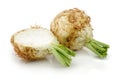 Fresh celeriac root with slice isolated