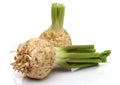 Fresh celeriac on white background Royalty Free Stock Photo