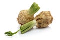 Fresh celeriac on white background Royalty Free Stock Photo