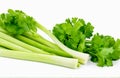 Fresh celery, cut out on white background