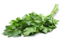 Fresh celery herb