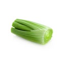 fresh celery isolated over a white background Royalty Free Stock Photo
