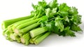 Fresh celery isolated on white background. Closeup image of celery