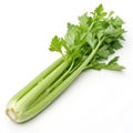 Celery isolated on white background Royalty Free Stock Photo