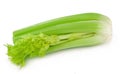 Fresh celery isolated on white background. Stalk of Celery with leaves. Top view Royalty Free Stock Photo