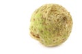 Fresh celery root (Apium graveolens var. rapaceum) Royalty Free Stock Photo