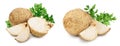 Fresh celery root isolated on white background Royalty Free Stock Photo