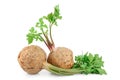 Fresh celery root with leaf isolated on white background