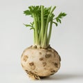 Fresh Celery Root on White Background Royalty Free Stock Photo