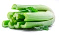 Fresh celery stalk isolated on white background Royalty Free Stock Photo