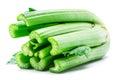 Fresh celery stalk isolated on white background Royalty Free Stock Photo