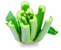 Fresh celery stalk isolated on white background Royalty Free Stock Photo