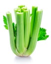 Fresh celery stalk isolated on white background Royalty Free Stock Photo