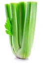 Fresh celery stalk isolated on white background Royalty Free Stock Photo