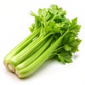 Fresh celery stalk isolated on white background. Ai generated Royalty Free Stock Photo
