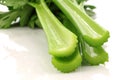 Fresh celery stems Royalty Free Stock Photo