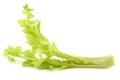 Fresh celery stems