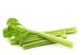 Fresh celery stems Royalty Free Stock Photo