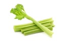 Fresh celery stems Royalty Free Stock Photo