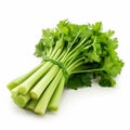 fresh celery sticks isolated on a pure white background Royalty Free Stock Photo