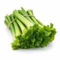 fresh celery sticks isolated on a pure white background Royalty Free Stock Photo