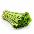 fresh celery sticks isolated on a pure white background Royalty Free Stock Photo