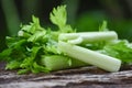 Fresh Celery vegetable / Bunch of celery stalk with leaves on wood and nature green Royalty Free Stock Photo